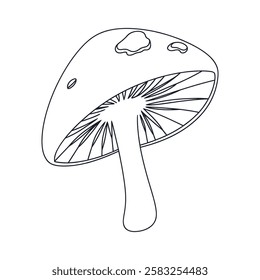 One Line Mushroom Drawing – Continuous Line Art Illustration