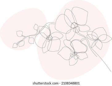 One line orchid branch vector illustration with abstract background shapes