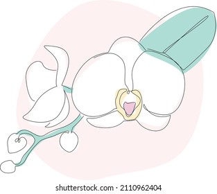 Eine Linie mit orchiden Blumen, Vektorgrafik mit abstrakten, pastellfarbenen Hintergrundformen.