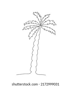 One Line Palm Tree Illustration Drawing Stock Vector (Royalty Free ...