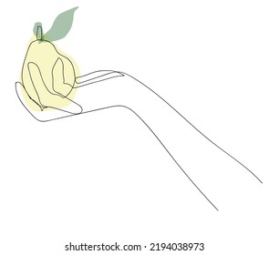 One line pear on the hand on white background. One continuous line art fruit for logo, poster, wall art, icon etc. Hand drawn minimalist style