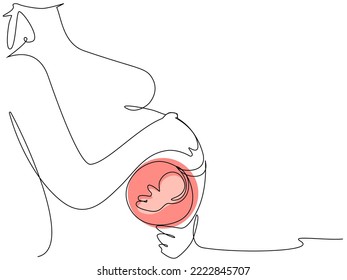 One line pregnant woman with embryo silhouette on white background. The concept of women's health, childbirth, abortion, new life, single mother. Stock vector illustration of a woman with a big belly.