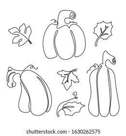One line pumpkins set. Autumn nature vector sketch. Hand drawn illustration