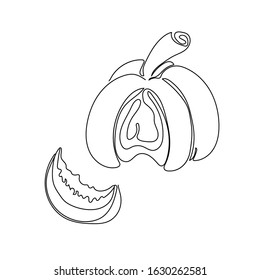 One line pumpkins set. Autumn nature vector sketch. Hand drawn illustration