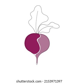 One line purple beet. Vector minimalist illustration isolated on white background. 