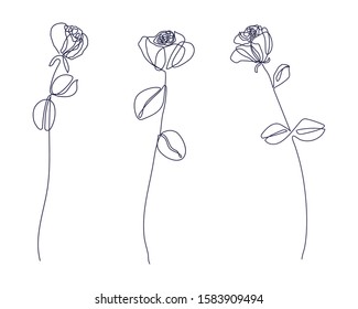 One line rose design. Hand drawn minimalism style vector illustration. Three roses