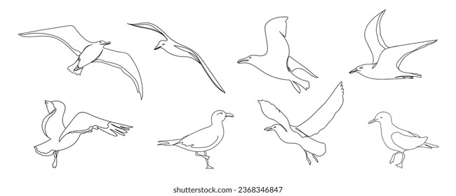 Un juego de gaviota dibujado a mano. Esbozar el vuelo de la gaviota. Ilustración vectorial de estilo minimalismo dibujado a mano. Bonitos elementos de diseño de la vida marina.