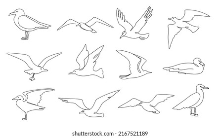 Gaviotas de una línea. Aves marinas voladoras, aves acuáticas y animales de playa, línea continua de ilustración conjunto de la naturaleza de las aves, gaviota hermosa dibujo de una línea