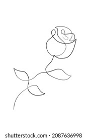 one line sketch flower, minimalism blossom, bloom, inflorescence, abstract pink flowers