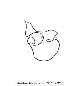 one line sketch of pig