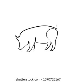 one line sketch of pig. engraved pig