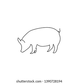 one line sketch of pig. engraved pig