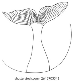 One line sketch of whale tail minimalist hand drawn ocean animal vector contour illustration