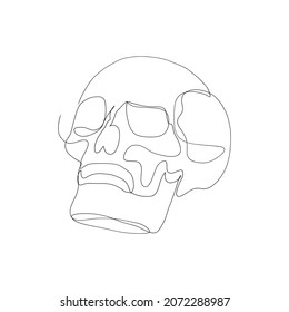 one line skull, modern minimalist style, human anatomy