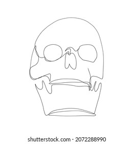 one line skull, modern minimalist style, human anatomy