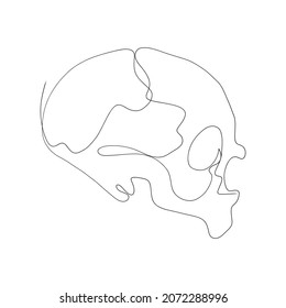 one line skull, modern minimalist style, human anatomy