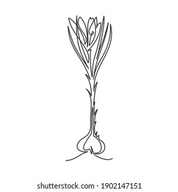 one line snowdrop vector iilustration