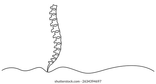 one line spine, Continuous one line drawing bones of human hand.  Wrist bones in single line art vector illustration. Editable stroke, Chiropractor spine. Continuous one line drawing on white back.
