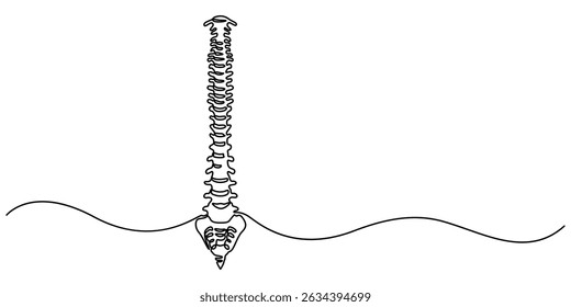 one line spine, Continuous one line drawing bones of human hand.  Wrist bones in single line art vector illustration. Editable stroke, Chiropractor spine. Continuous one line drawing on white back.