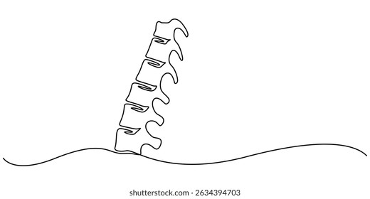 one line spine, Continuous one line drawing bones of human hand.  Wrist bones in single line art vector illustration. Editable stroke, Chiropractor spine. Continuous one line drawing on white back.
