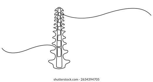 one line spine, Continuous one line drawing bones of human hand.  Wrist bones in single line art vector illustration. Editable stroke, Chiropractor spine. Continuous one line drawing on white back.