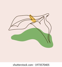 One line style calla flower. Continuous art in an elegant style for prints, tattoos, posters, textiles, postcards, etc. Lovely calla flower. Illustrations Vector