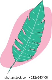 One line tropical banana leaf vector drawing with an abstract pink background shape.