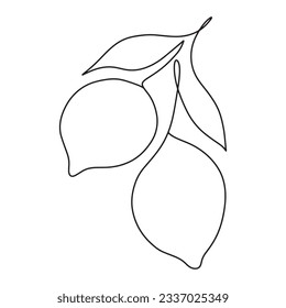 One line vector branch of lemons. Minimalistic design. 