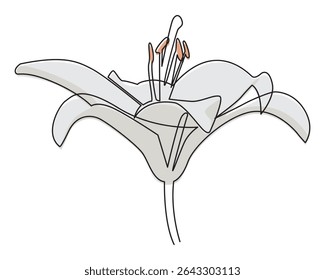 Uma ilustração vetorial de linha de uma flor de lírio branco com sombreamento estilizado. Desenho floral mínimo moderno adequado para decoração, embalagem ou composições botânicas.