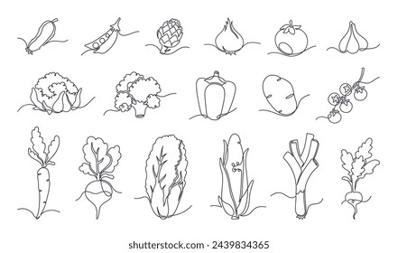 One line vegetable doodles, hand drawn linear cabbage and tomato. Minimalist continuous line vegetables, organic farmer harvest, corn and potato, healthy food ingredients monoline sketch vector set