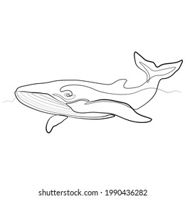One line whale design silhouette. Hand drawn minimalism style vector illustration.
