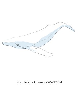 One line whale vector illustration