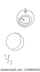 One line yangmei vector illustration. Fruit and berry set. Minimalistic juicy asian bayberry. continuous line hand drawn isolated object look like a litchi	