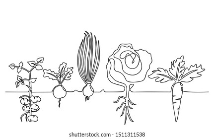 One lines drawing vector ripe vegetables set, black and white sketch of a family of plants growing in the ground, isolated on a white background. Edible harvest one line hand drawn illustration