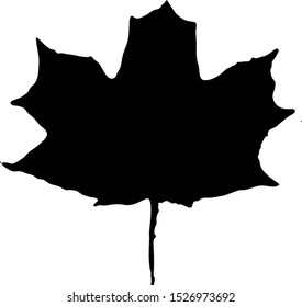 One maple leaf on a white background. Vector art.