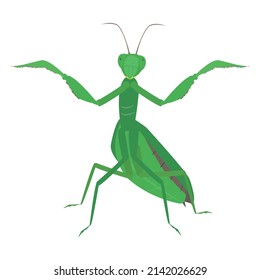 One menacing mantis (green insect)