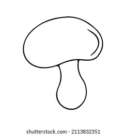 One monochrome boletus mushroom, hand drawn sketch line art, vector illustration isolated on white background, gray line art, nature sketch