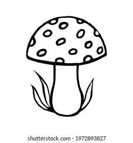 One mushroom fly agaric on a white background, doodle.Vector.
