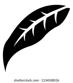 
One Netlike veins enriched leaf depicting elaeagnus angustifolia leaf icon
