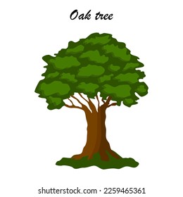 Ein Oak-Baum-Symbol, Nahaufnahme, flacher Vektorgrafik