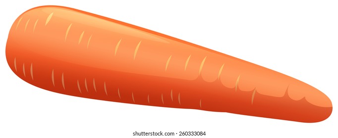  One orange carrot on a white background