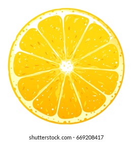 One Orange Fruite Slice