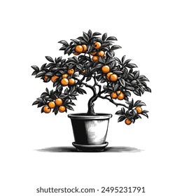 One Orange tree, Fruit tree in a pot sketch hand drawn vector 
