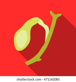 One ovary icon in flat style with long shadow. Female organ symbol