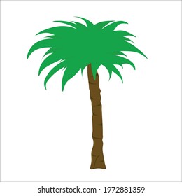 
one palm tree with green leaves