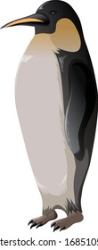 One penguin standing on white background illustration