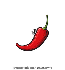 One pepper chili, emblem or logotype, vector illustration isolated on white background, hand drawn illustration, sketch of pepper