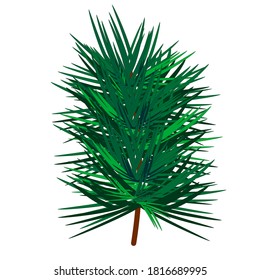 One pine branch on a white background. Idea for Christmas, New Years and Holidays. Vector Illustration.