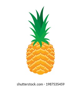 One pineapple tropical fruit icon vector. Whole pineapple icon isolated on a white background. Fresh yellow pineapple vector	