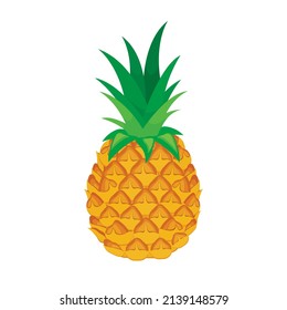 One pineapple tropical fruit icon vector. Whole pineapple icon isolated on a white background. Fresh yellow pineapple vector